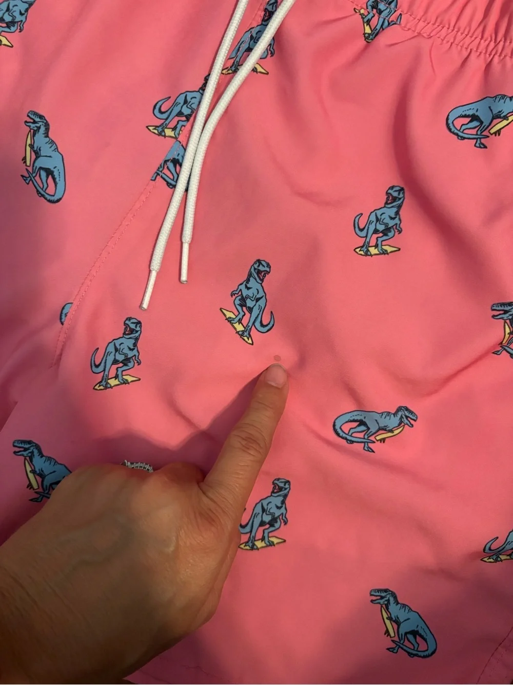 Hollister Pink Surfing Dinosaur Swim Trunks Men’s Large Beach Board Shorts 1048